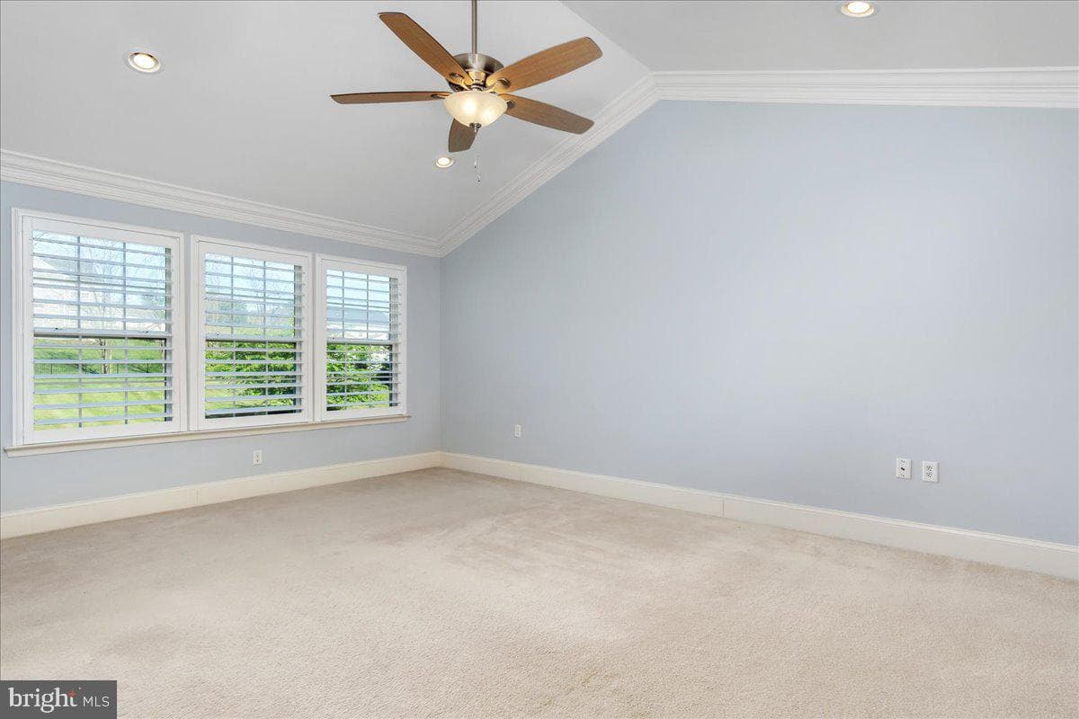 74 Hewitt Drive photo 28
