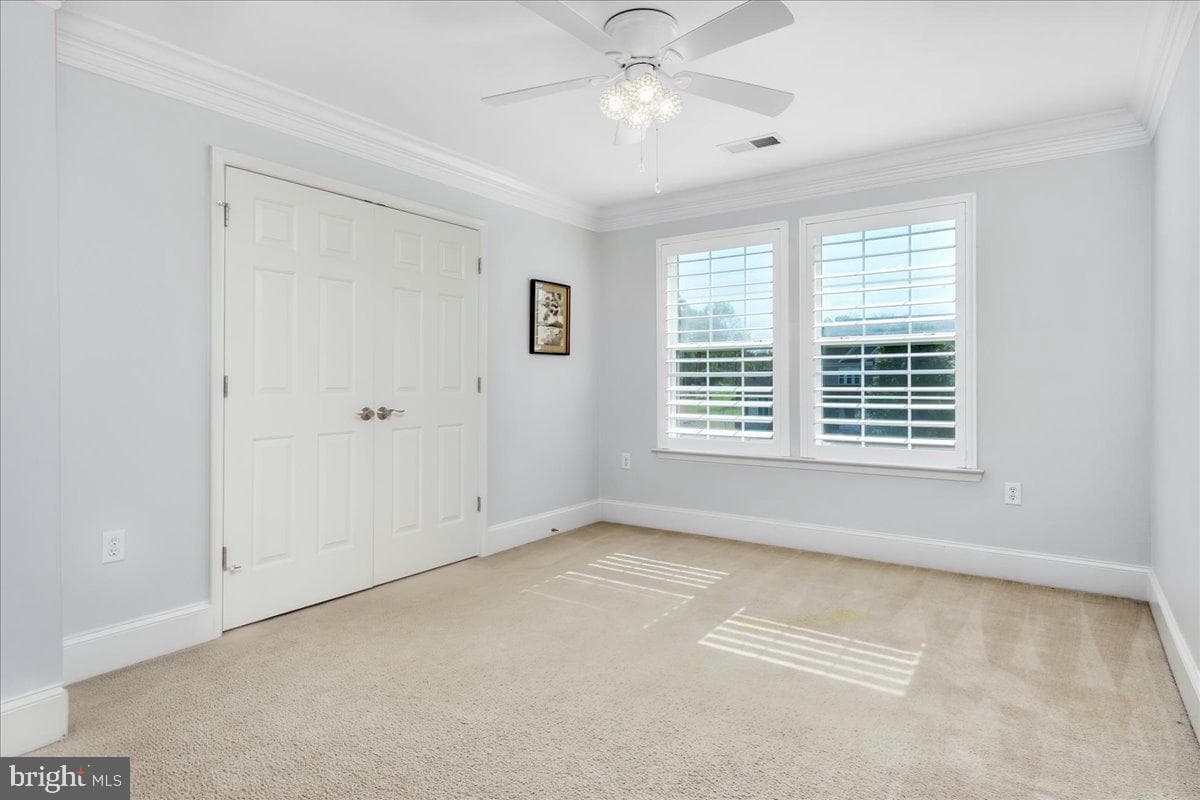 74 Hewitt Drive photo 37