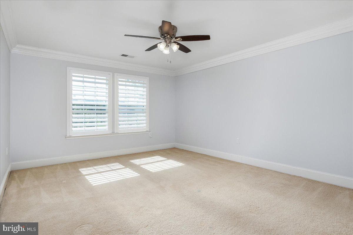 74 Hewitt Drive photo 38
