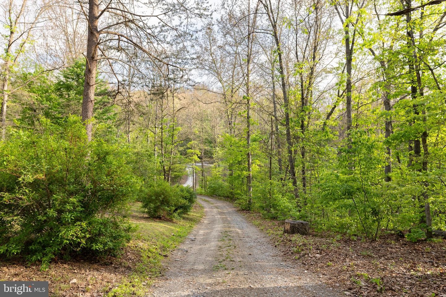 455 Huckleberry Drive photo 43
