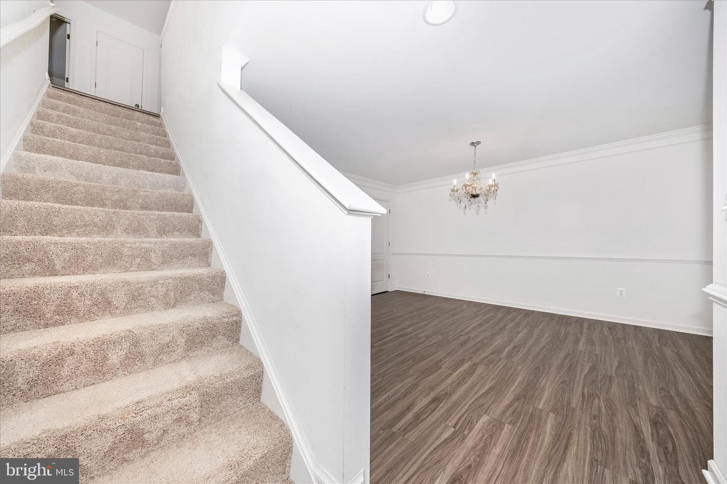 12 Belmont Place photo 19