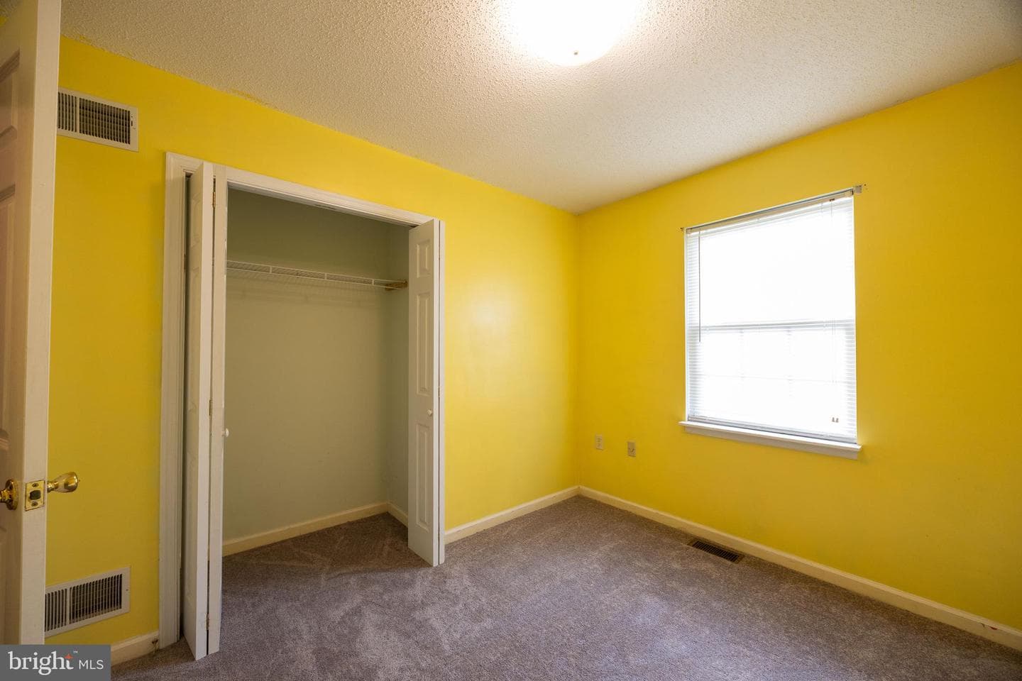 351 Mimosa Drive photo 25