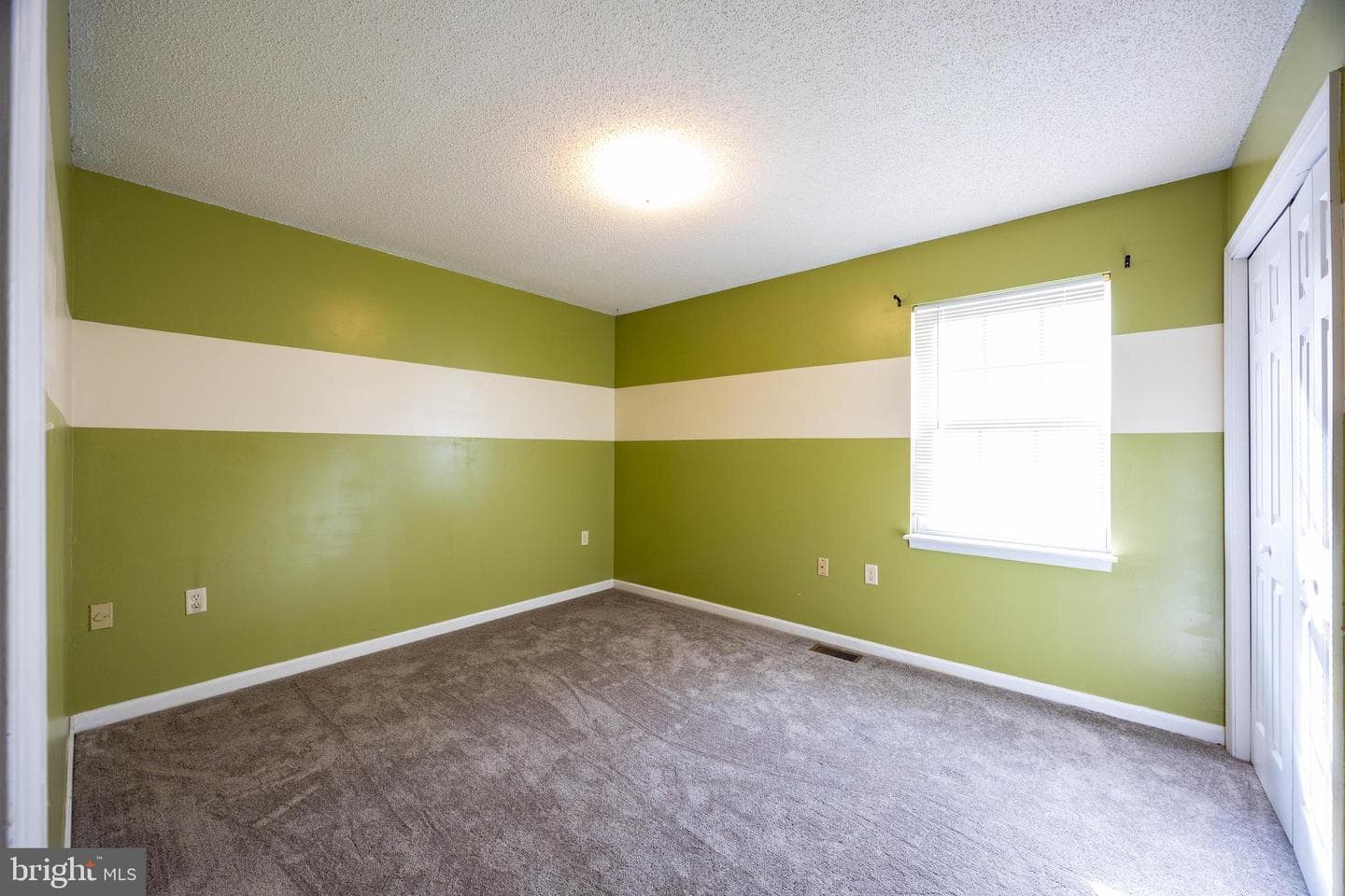 351 Mimosa Drive photo 30