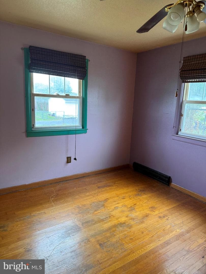 328 Richard Street photo 20