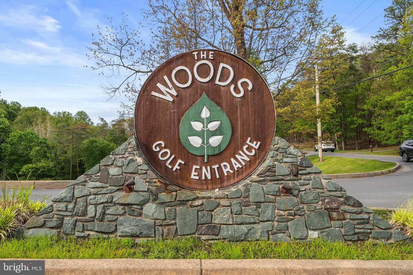 196 The Woods Rd photo 44