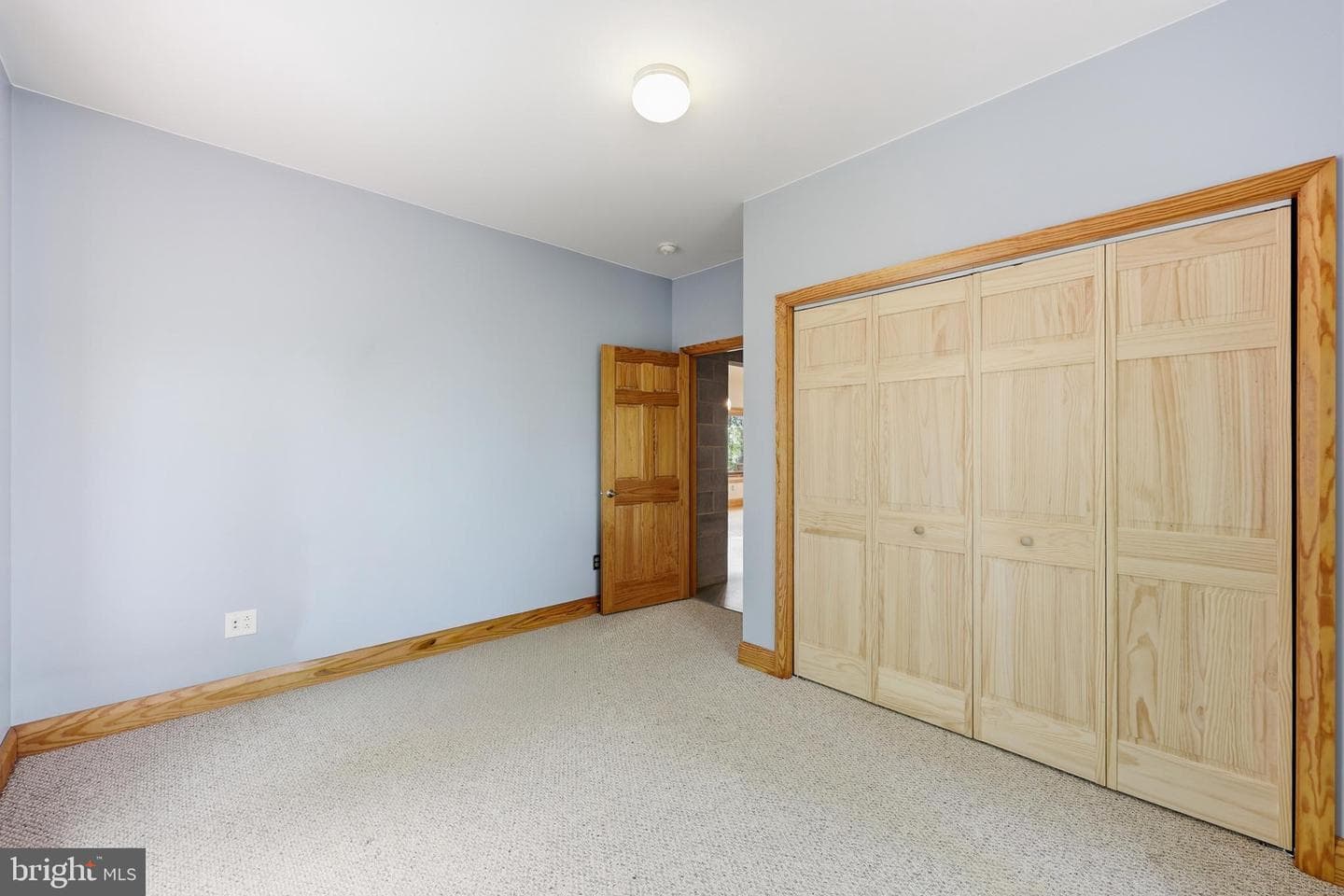 446 Broomgrass Way photo 30