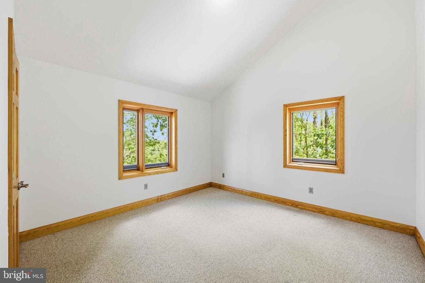 446 Broomgrass Way photo 39