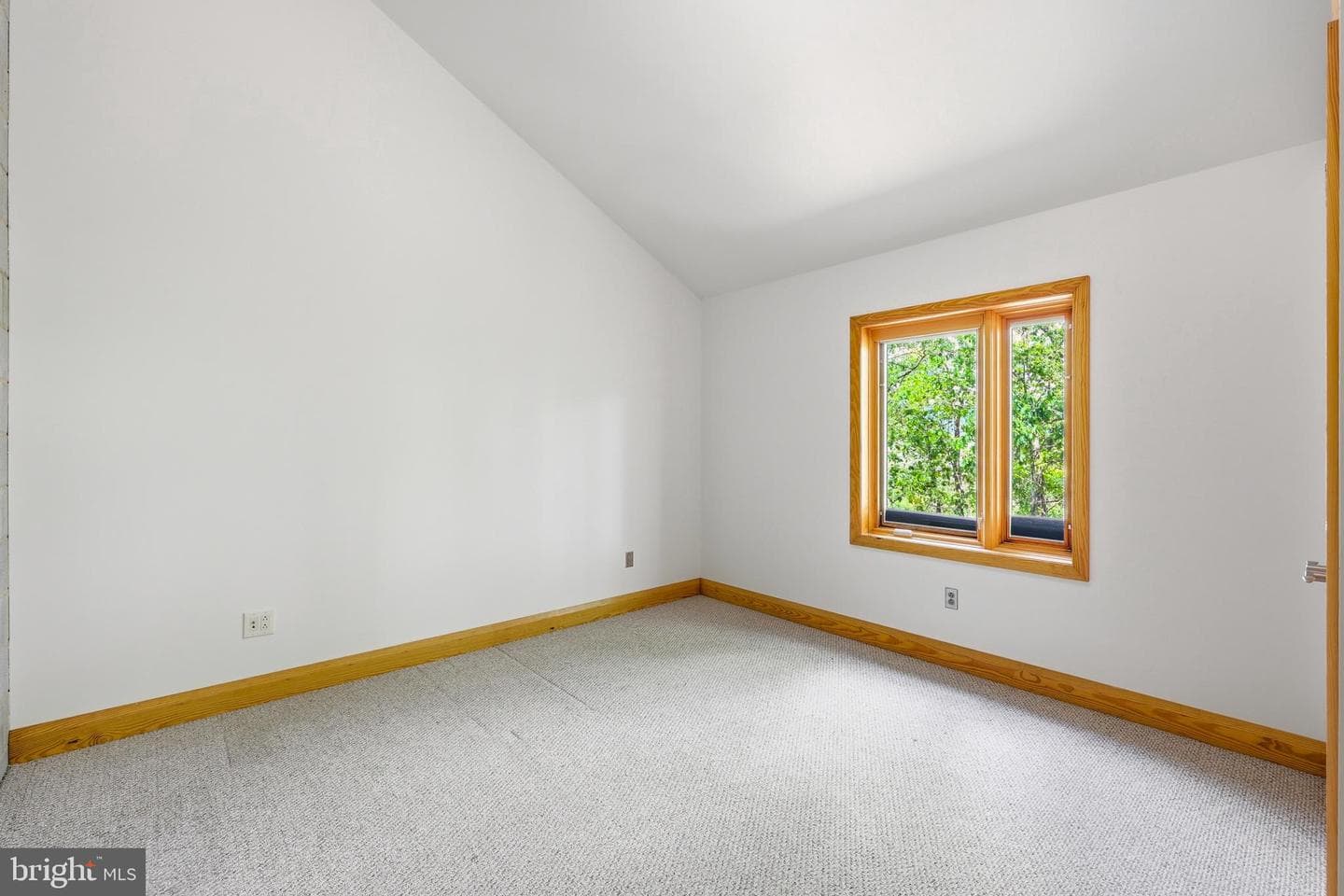 446 Broomgrass Way photo 42