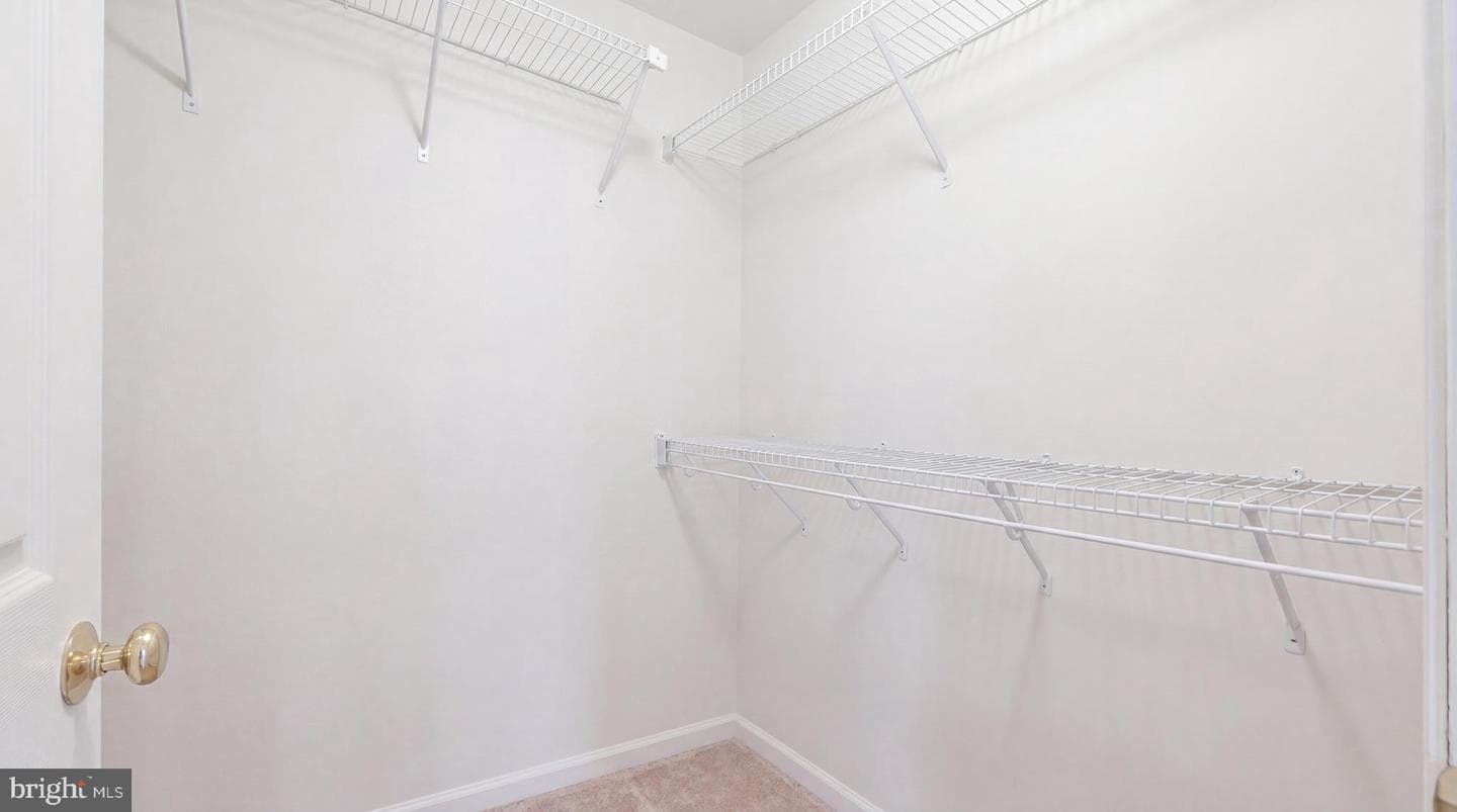 107 Palace Court photo 35
