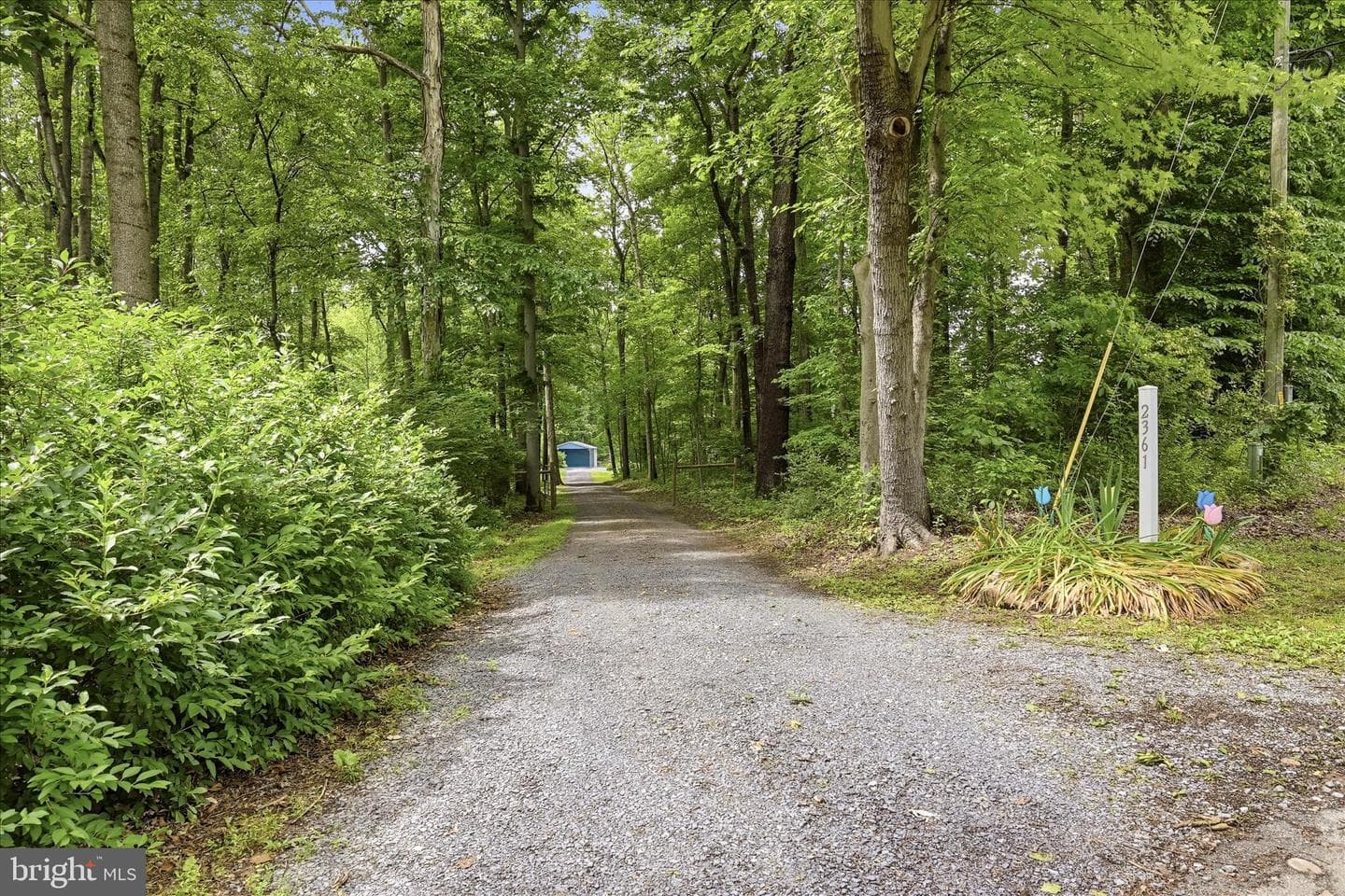 2361 Mccoys Ferry Road photo 64