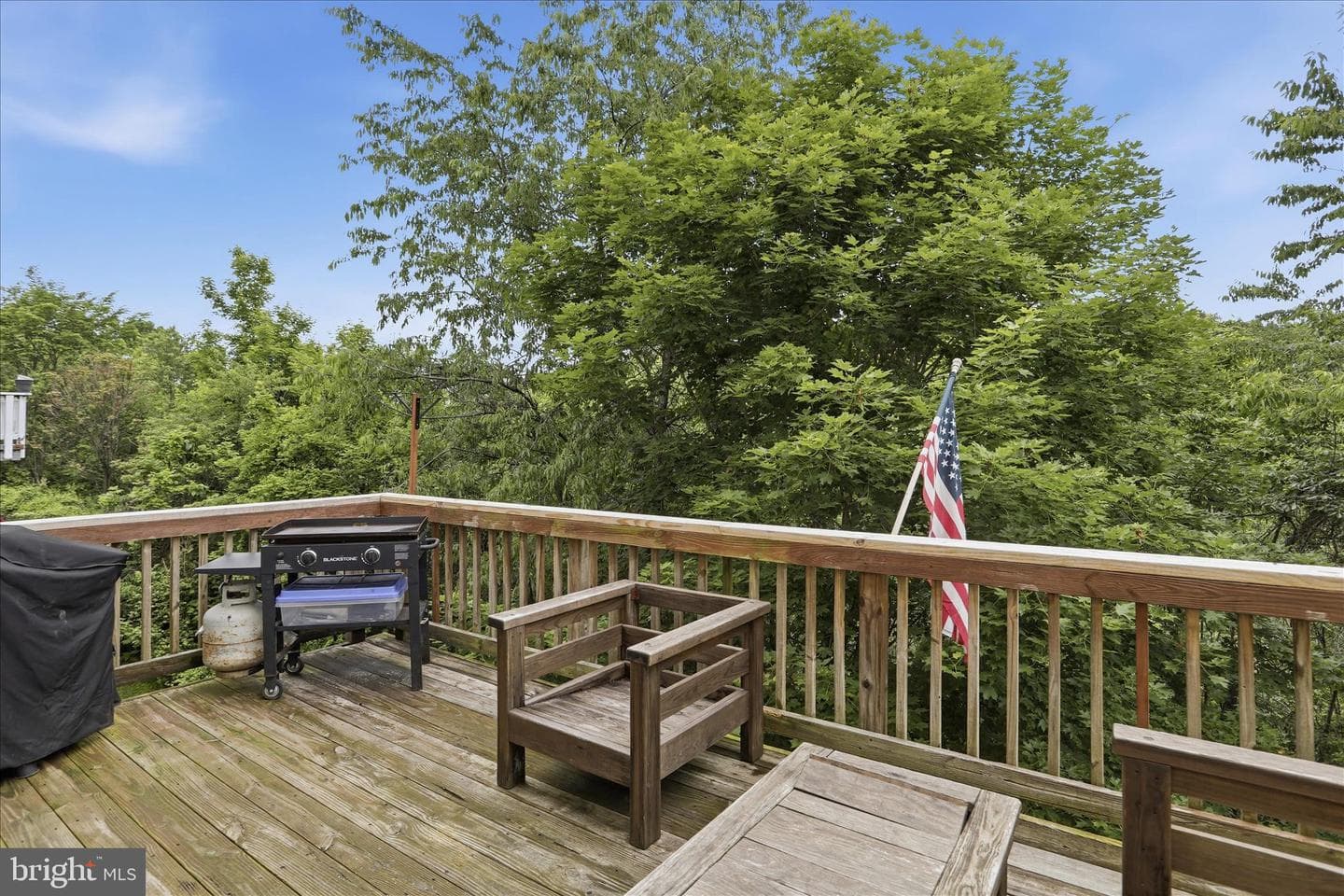115 Jewels Court photo 37