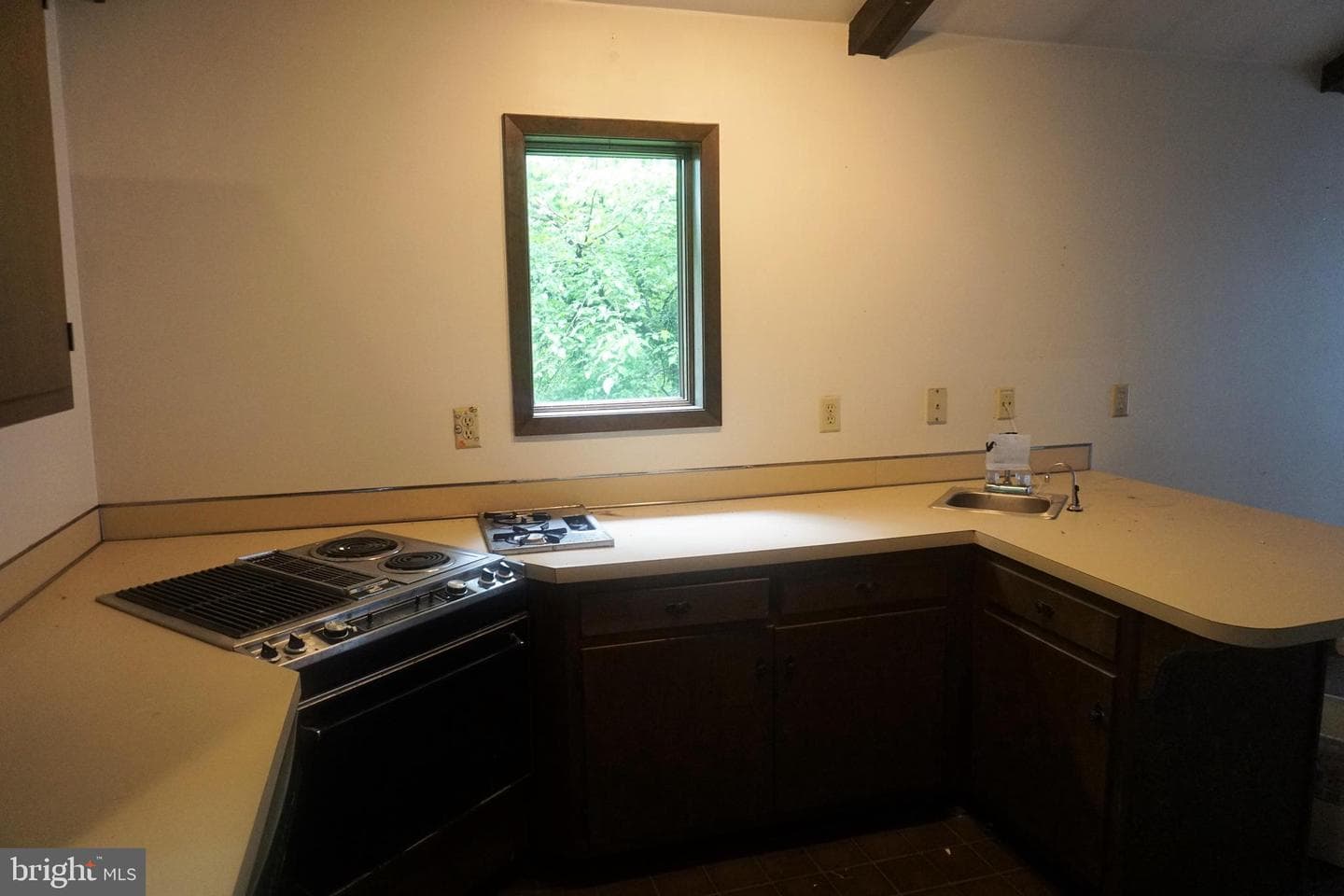 30 Fitzhugh Lane photo 14