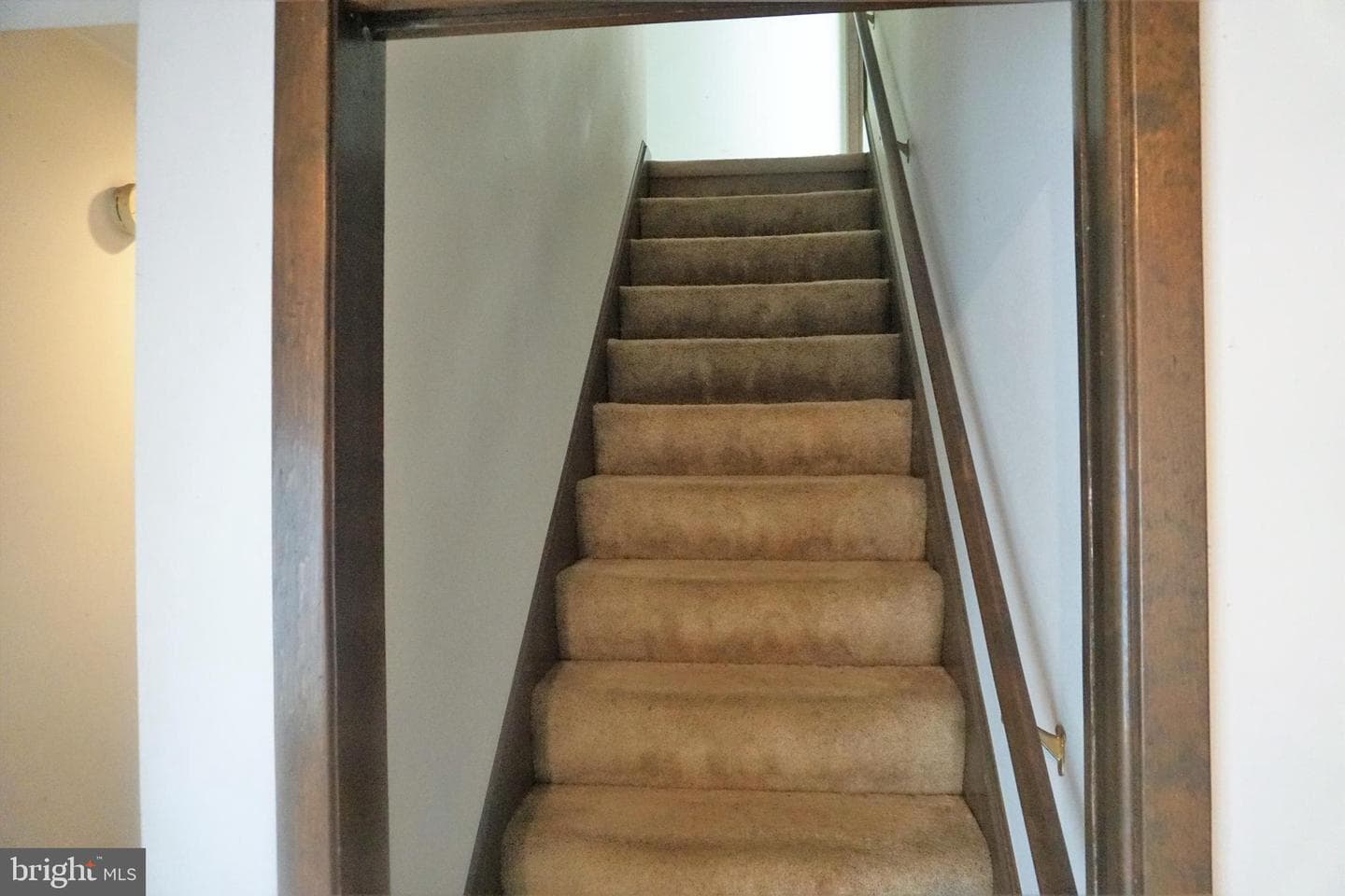 30 Fitzhugh Lane photo 35