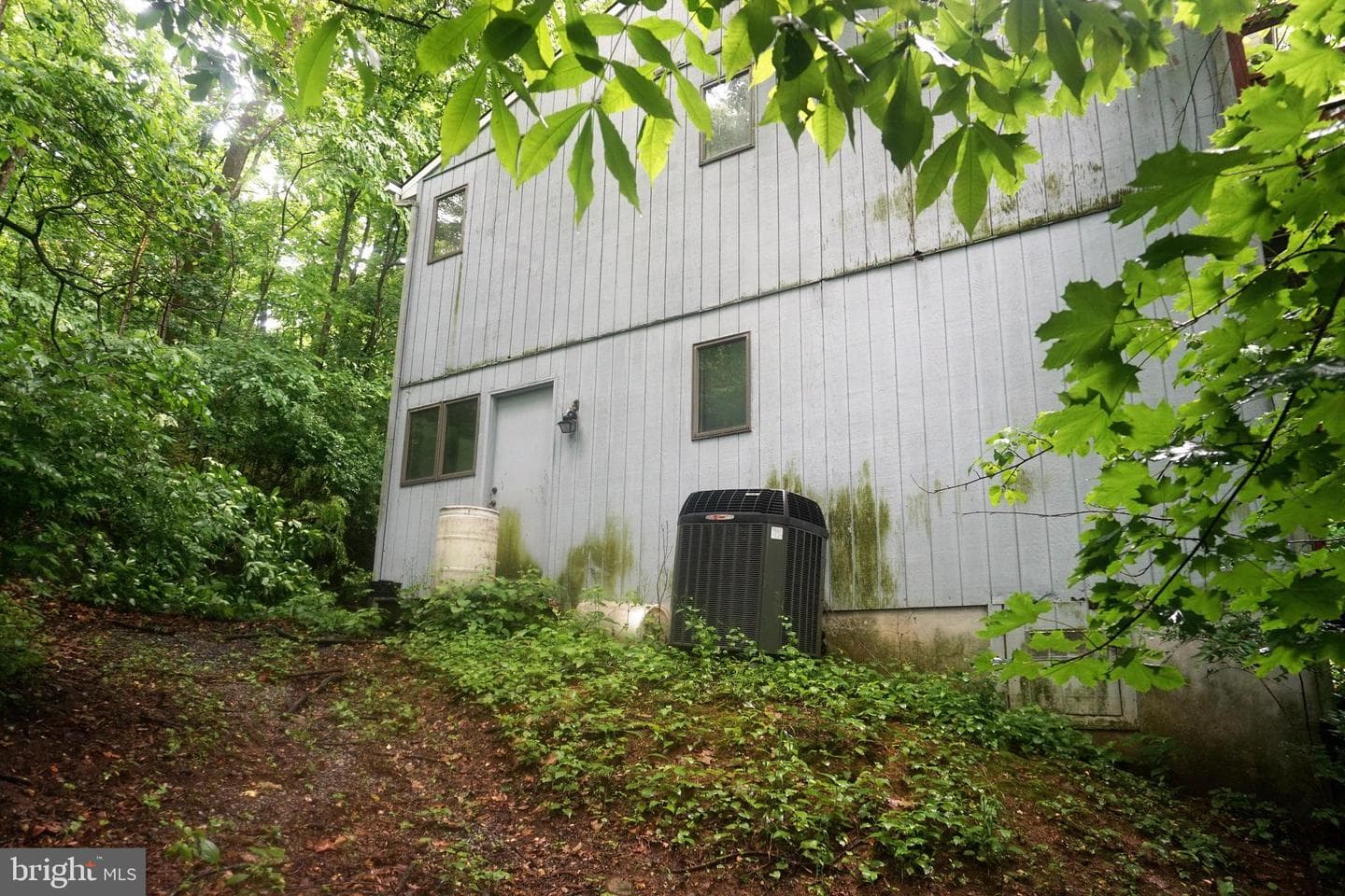 30 Fitzhugh Lane photo 55