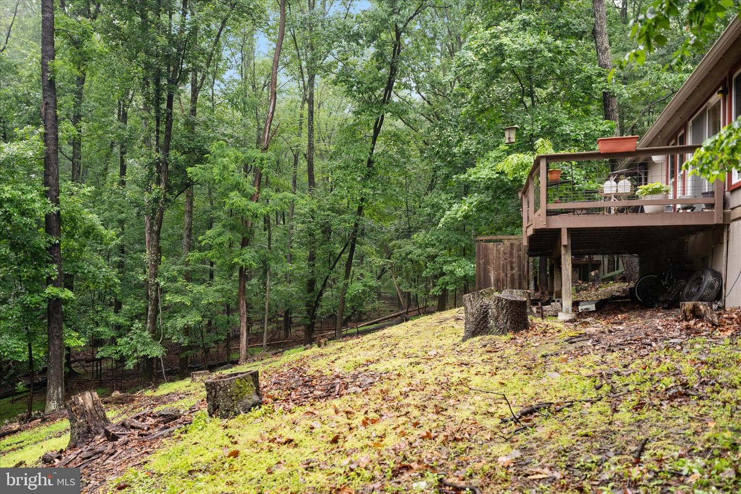 211 Cayuga Trl photo 29