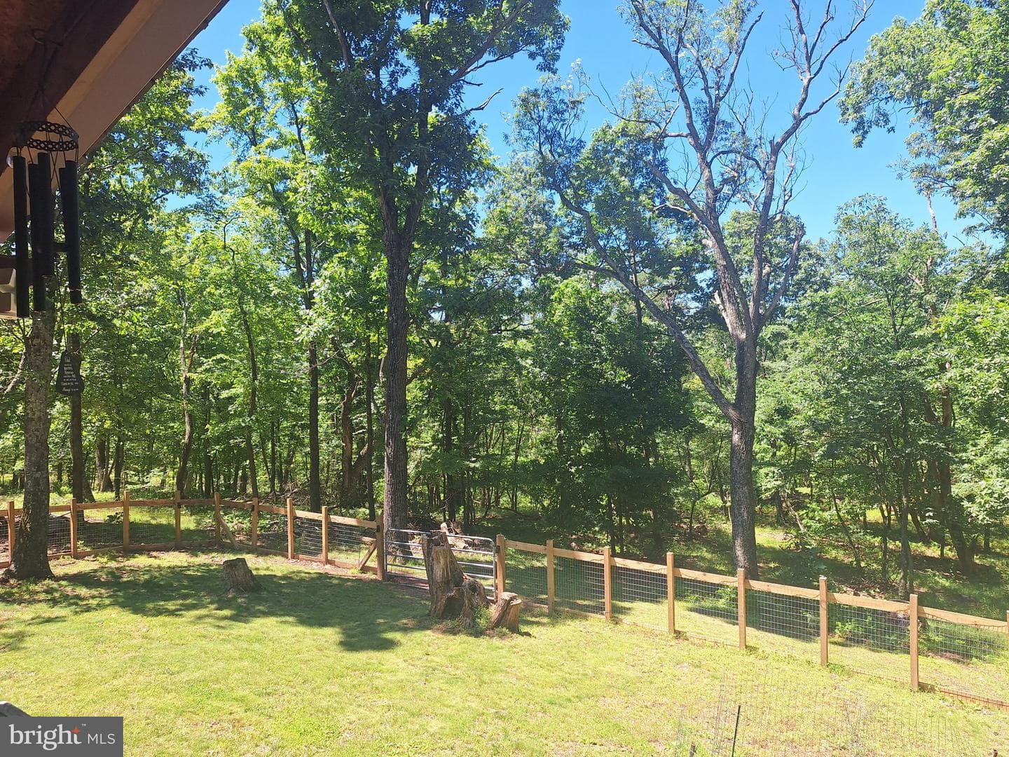 71 Trapper Ridge Lane photo 12