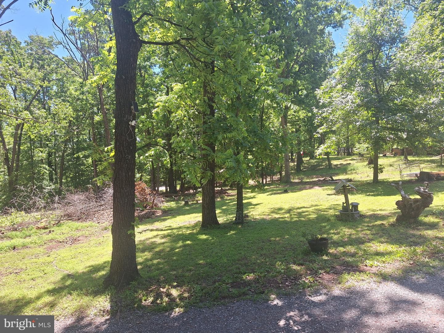 71 Trapper Ridge Lane photo 15