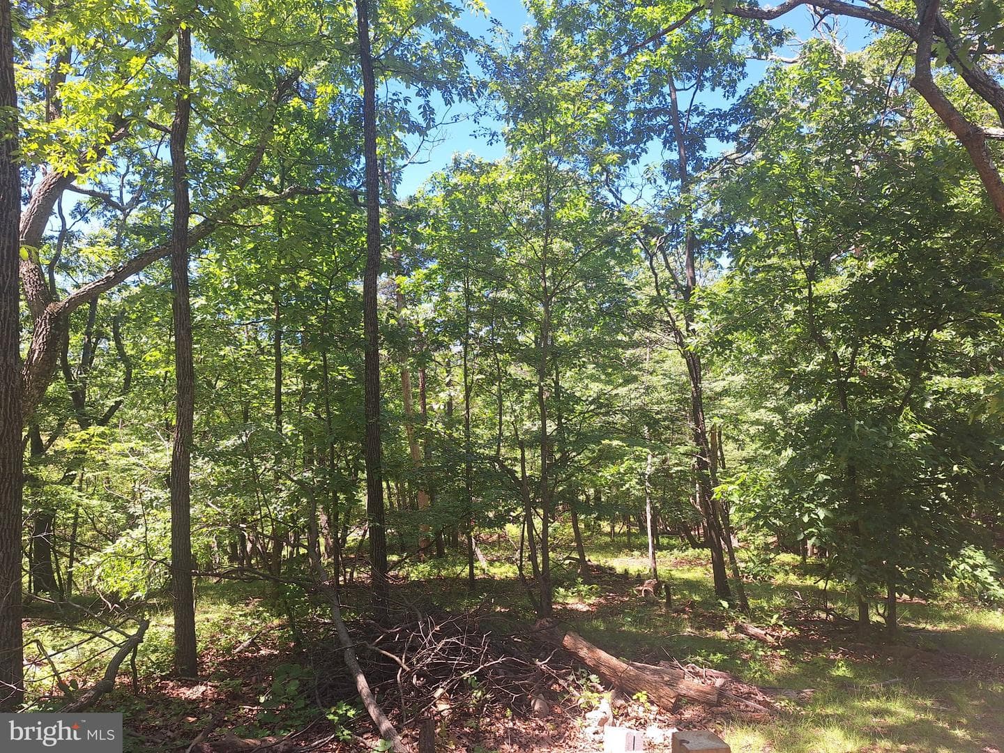 71 Trapper Ridge Lane photo 17