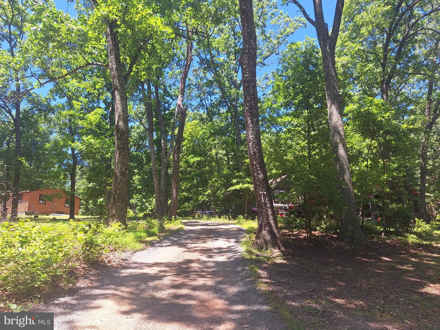71 Trapper Ridge Lane photo 9