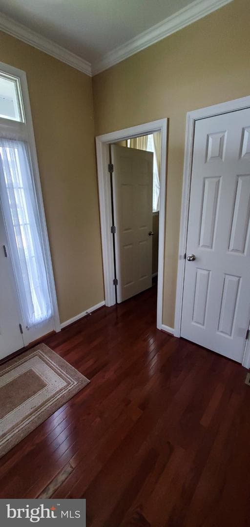 121 Tarkay Place photo 22