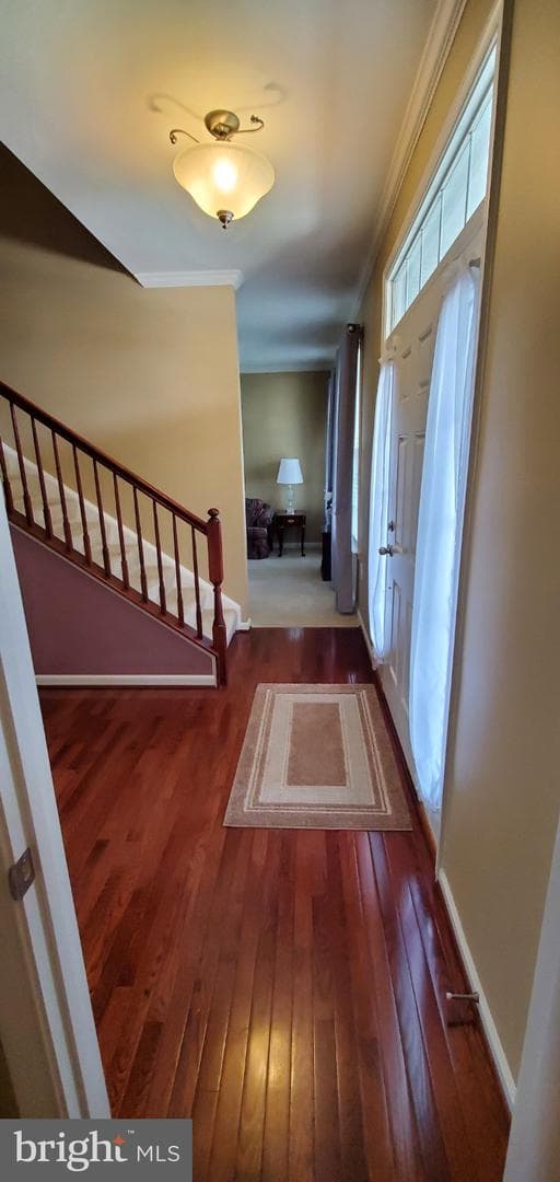 121 Tarkay Place photo 25