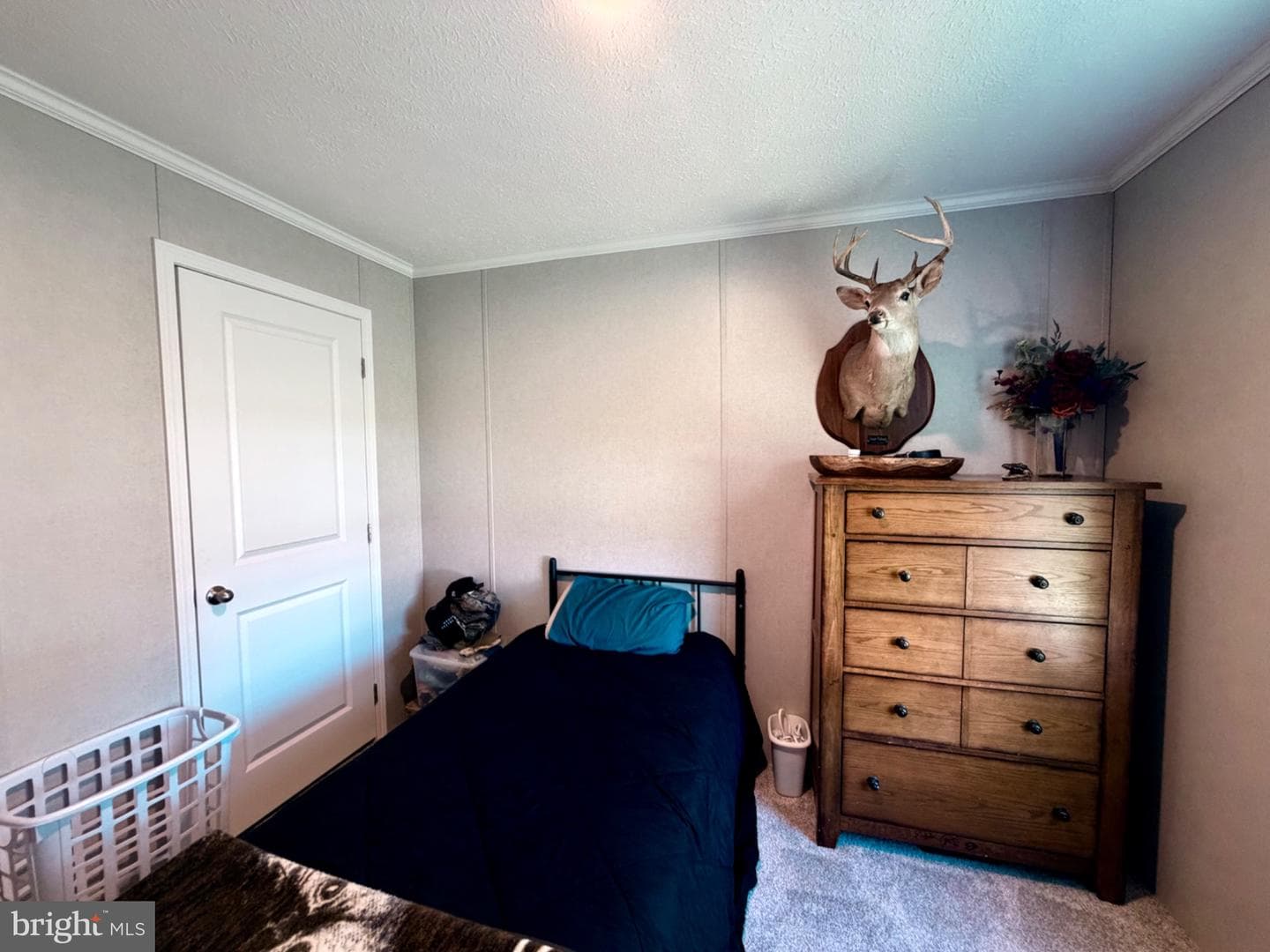 318 Gantt Drive photo 41