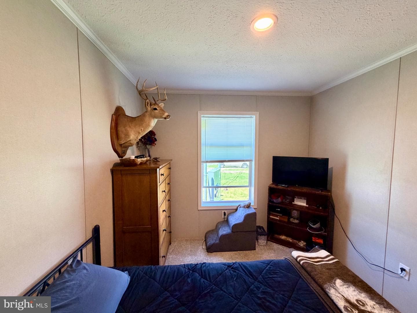 318 Gantt Drive photo 42