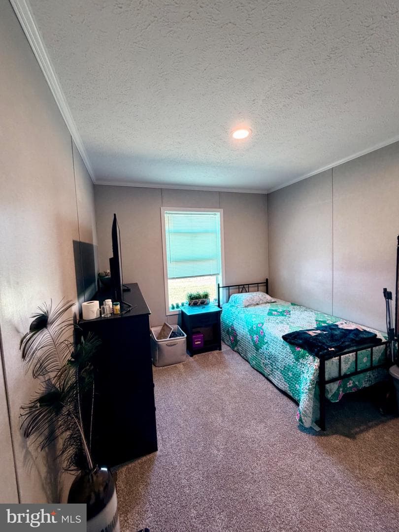 318 Gantt Drive photo 46