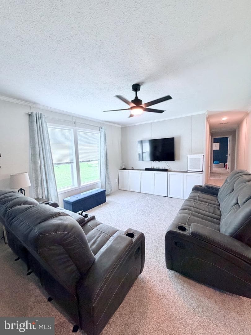 318 Gantt Drive photo 8