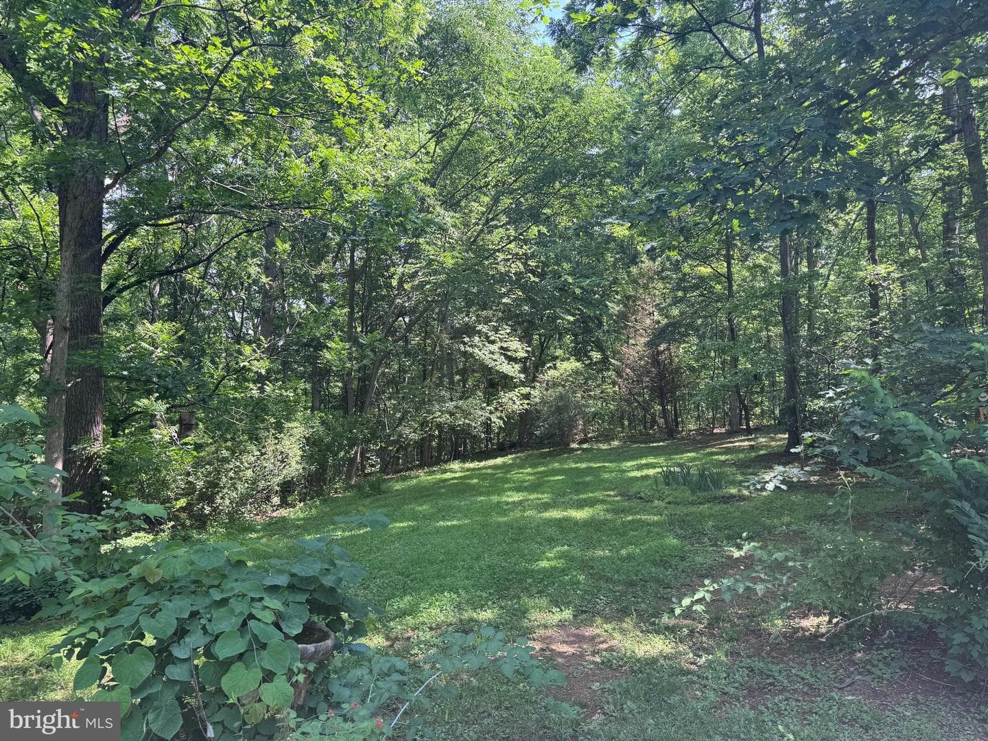 488 Platt Mountain Lane photo 6