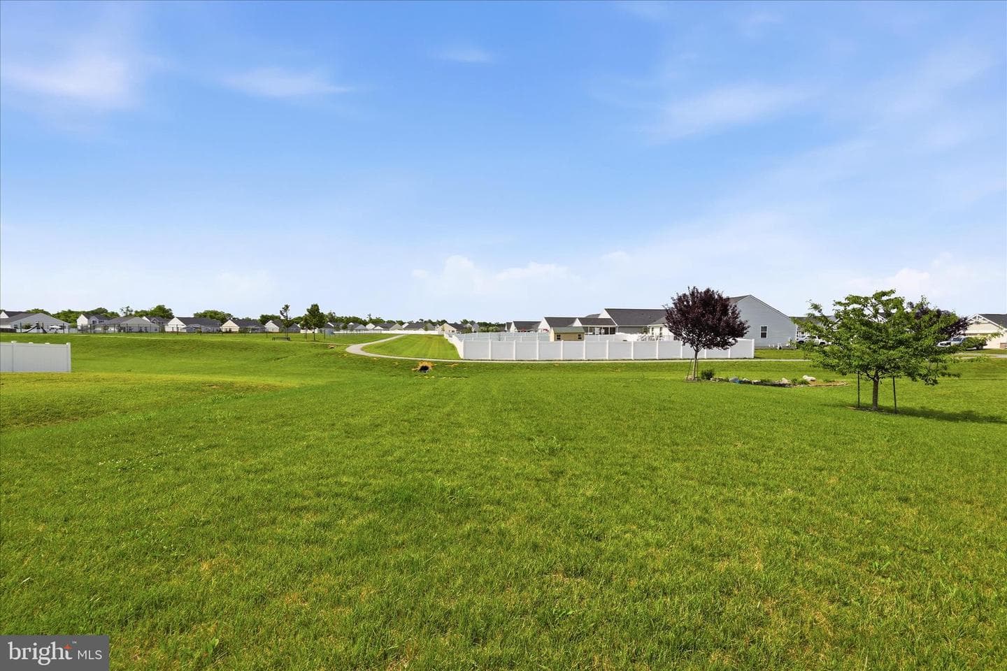 141 Bindweed Court photo 35