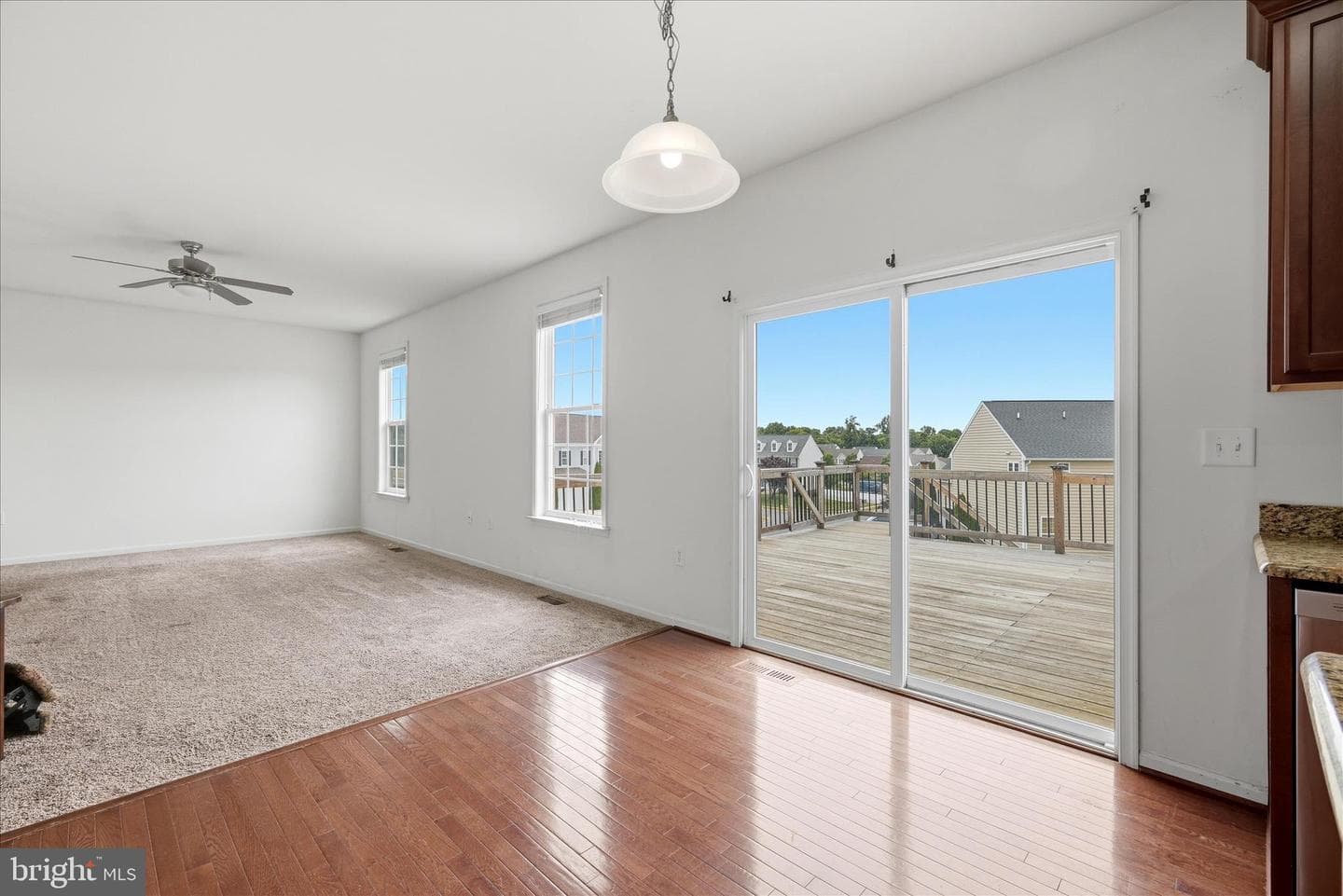 116 Celadon Drive photo 18
