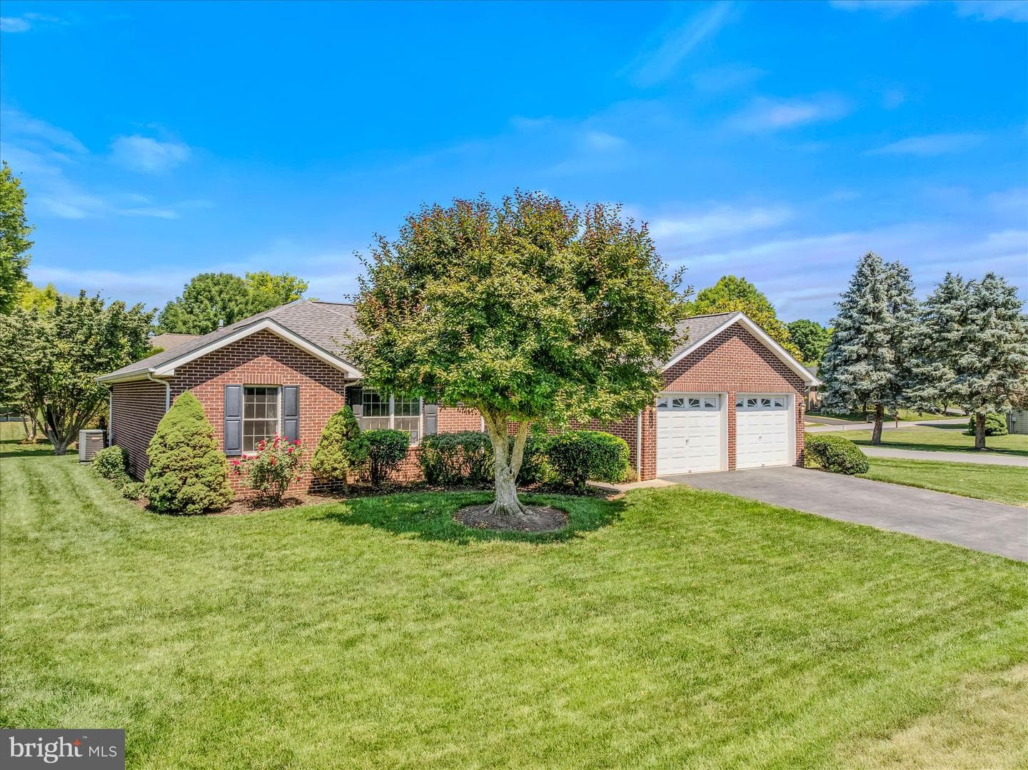 501 Lilac Lane photo 4