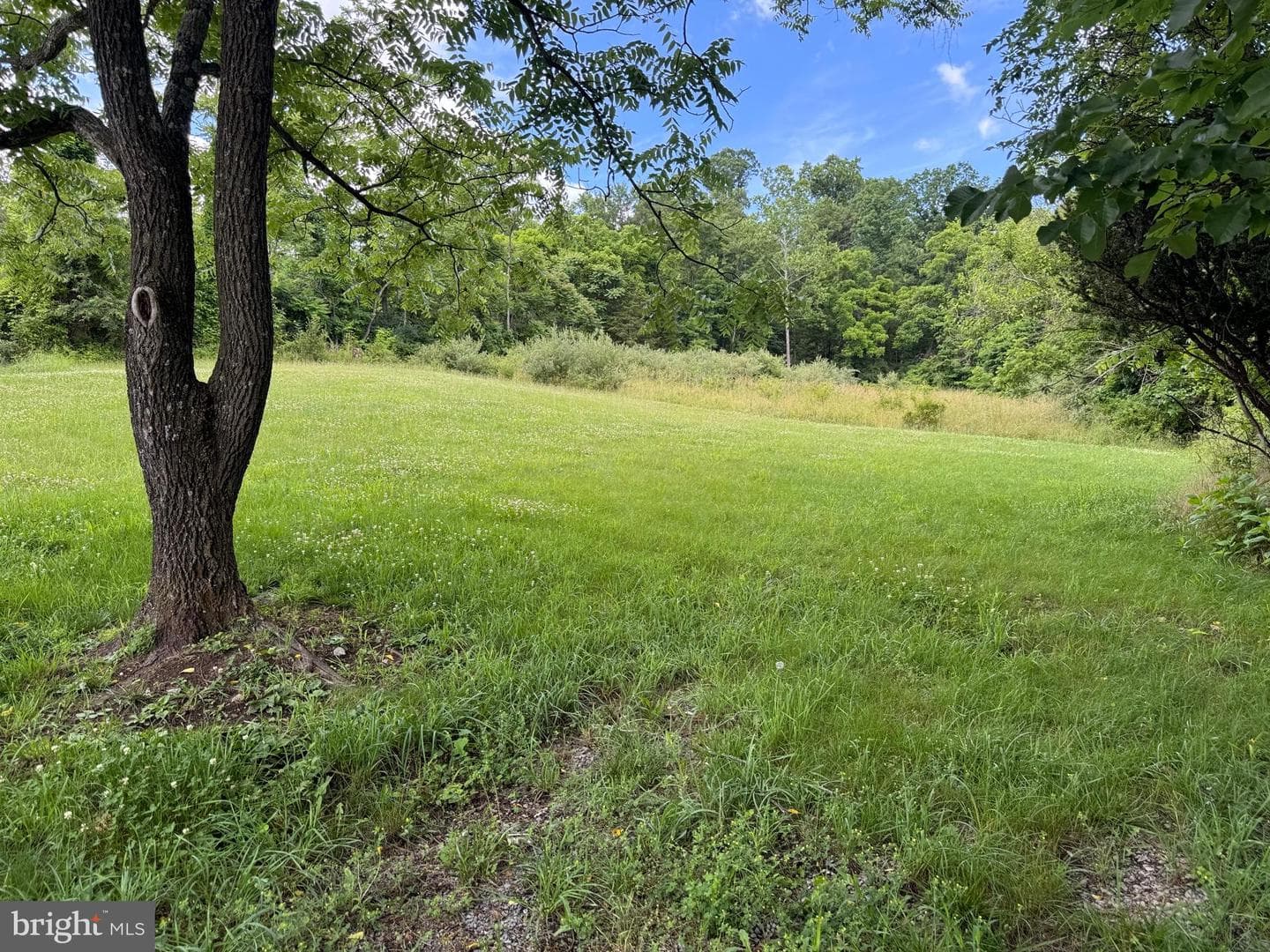 7865 Hedgesville Road photo 64