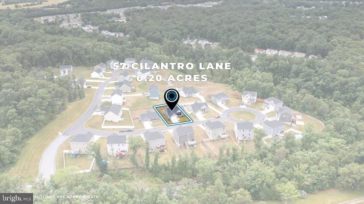 57 Cilantro Lane photo 22