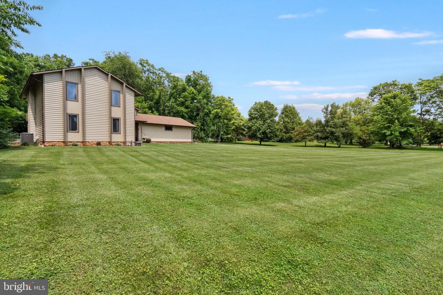 903 Colston Drive photo 4