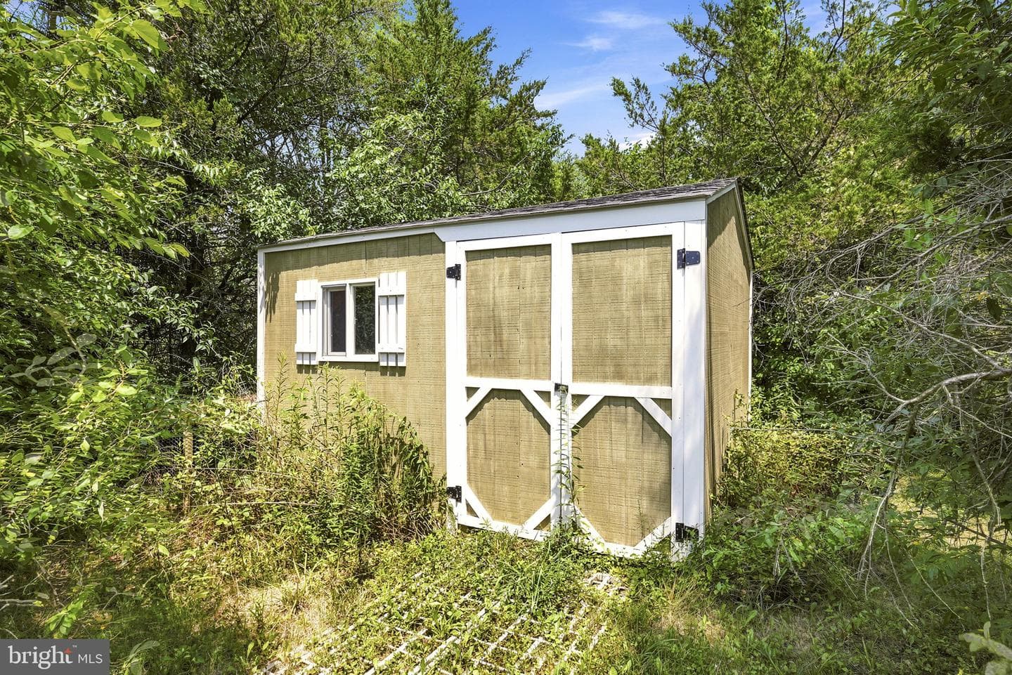 65 Fegan Road photo 55