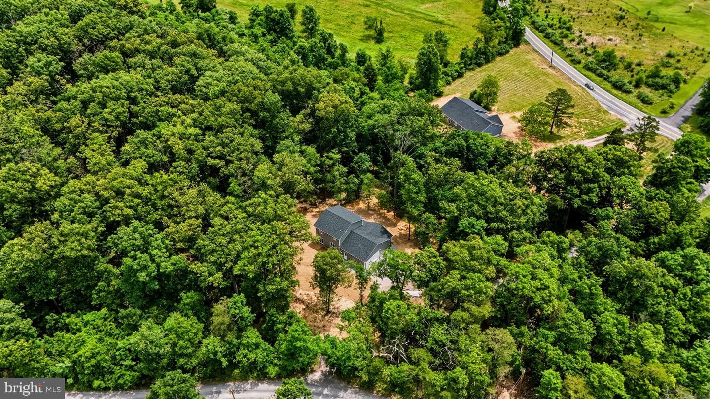 10339 Back Creek Valley Road photo 46