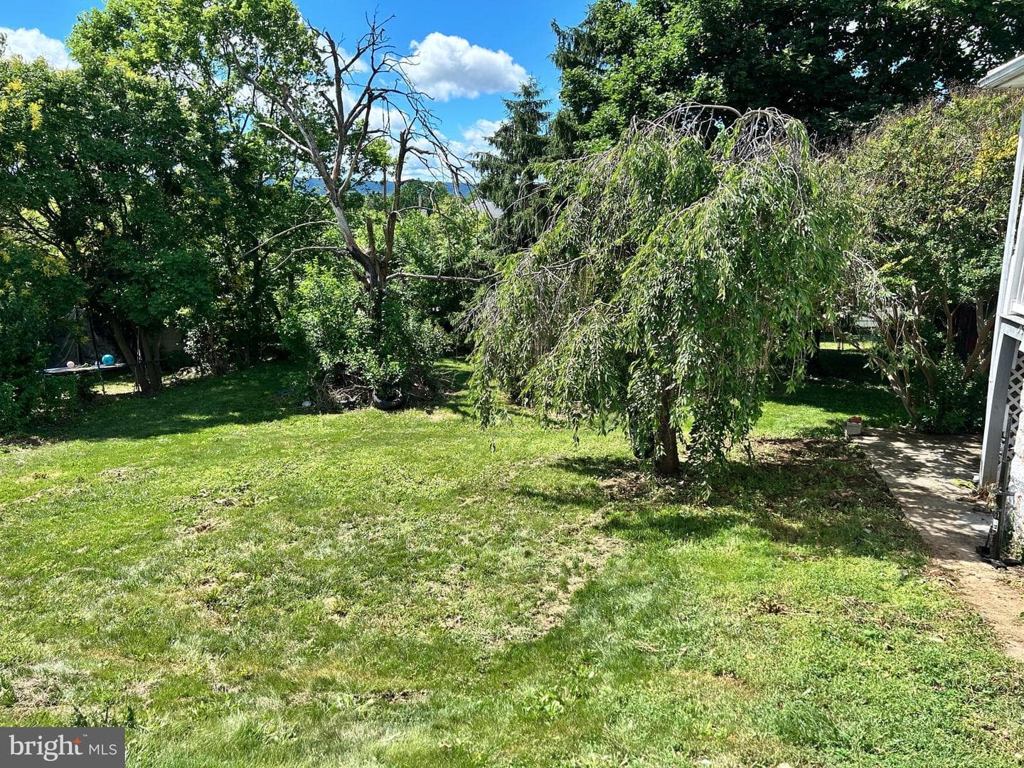 113 Fairfax Street photo 11