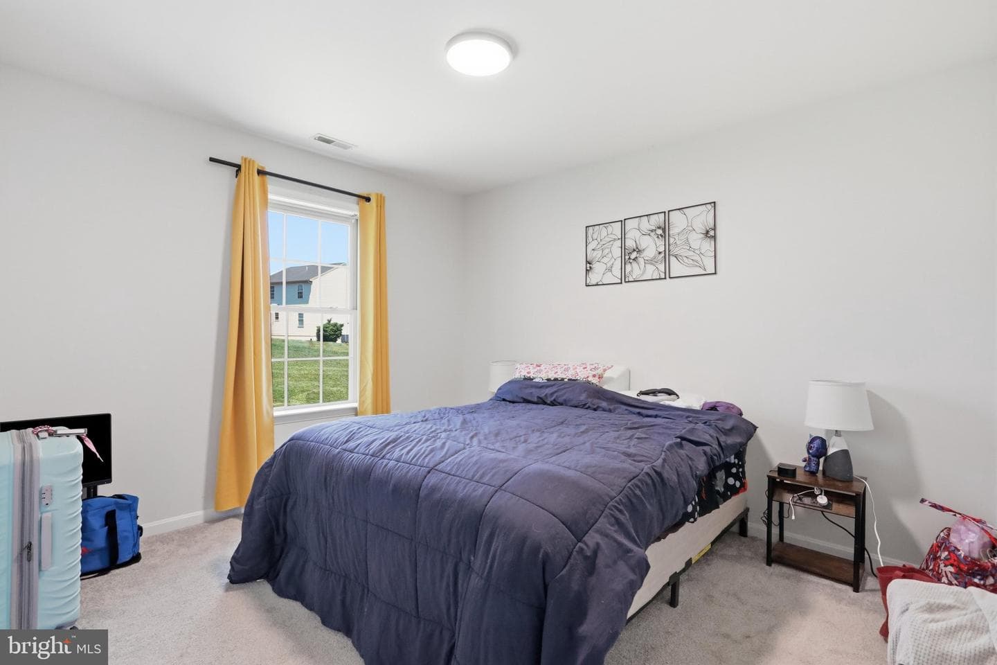 48 Lansing Court photo 25