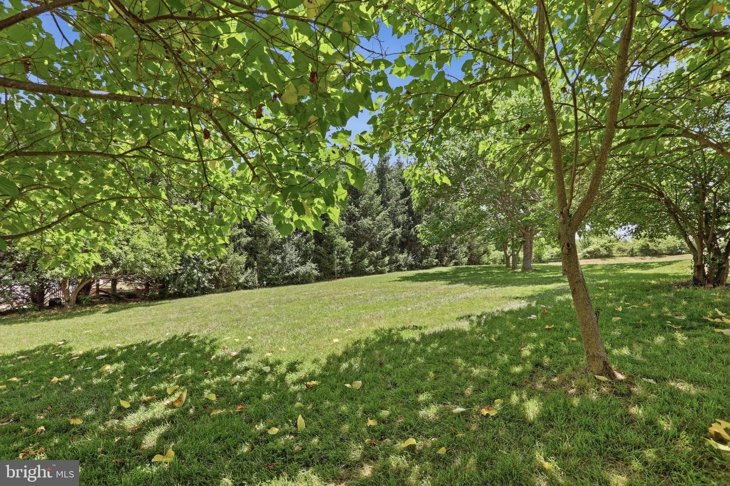 48 Lansing Court photo 41