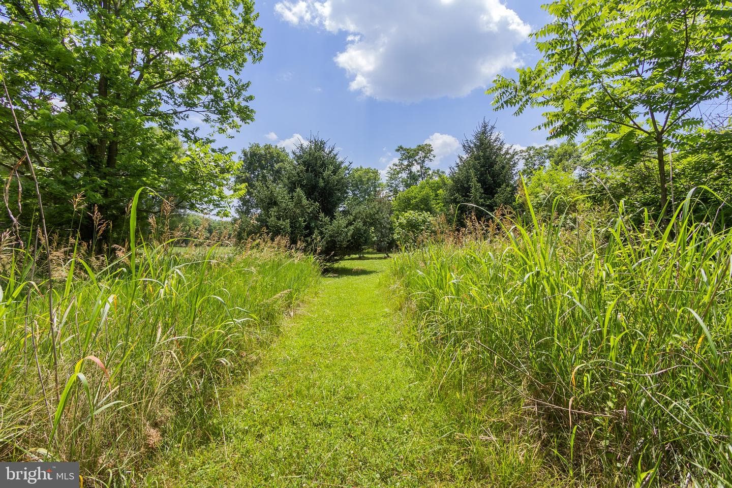 1121 Hollida Lane photo 61