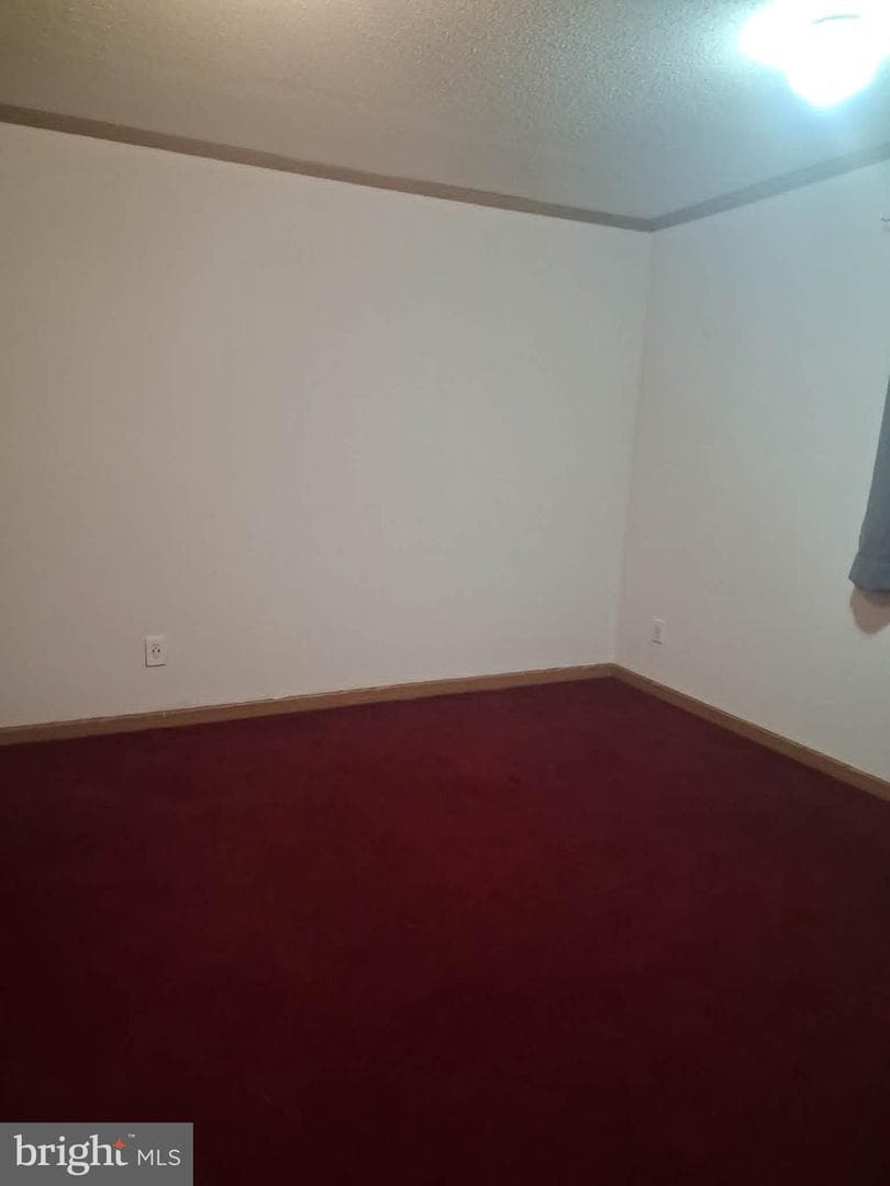 702 Dollar photo 13