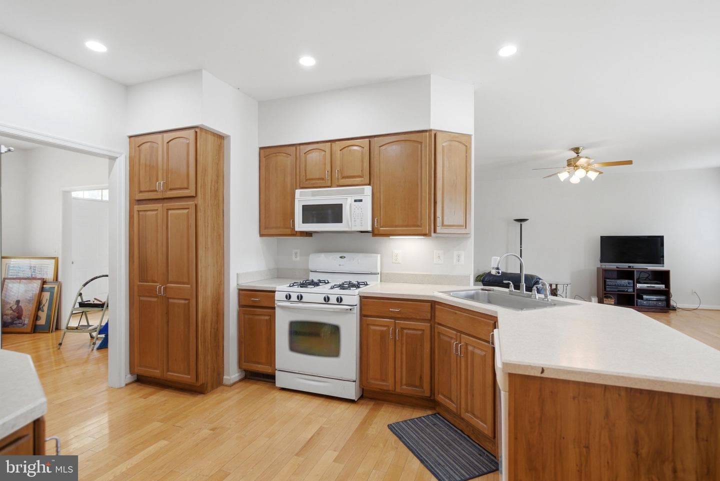 473 Nathaniel Drive photo 20