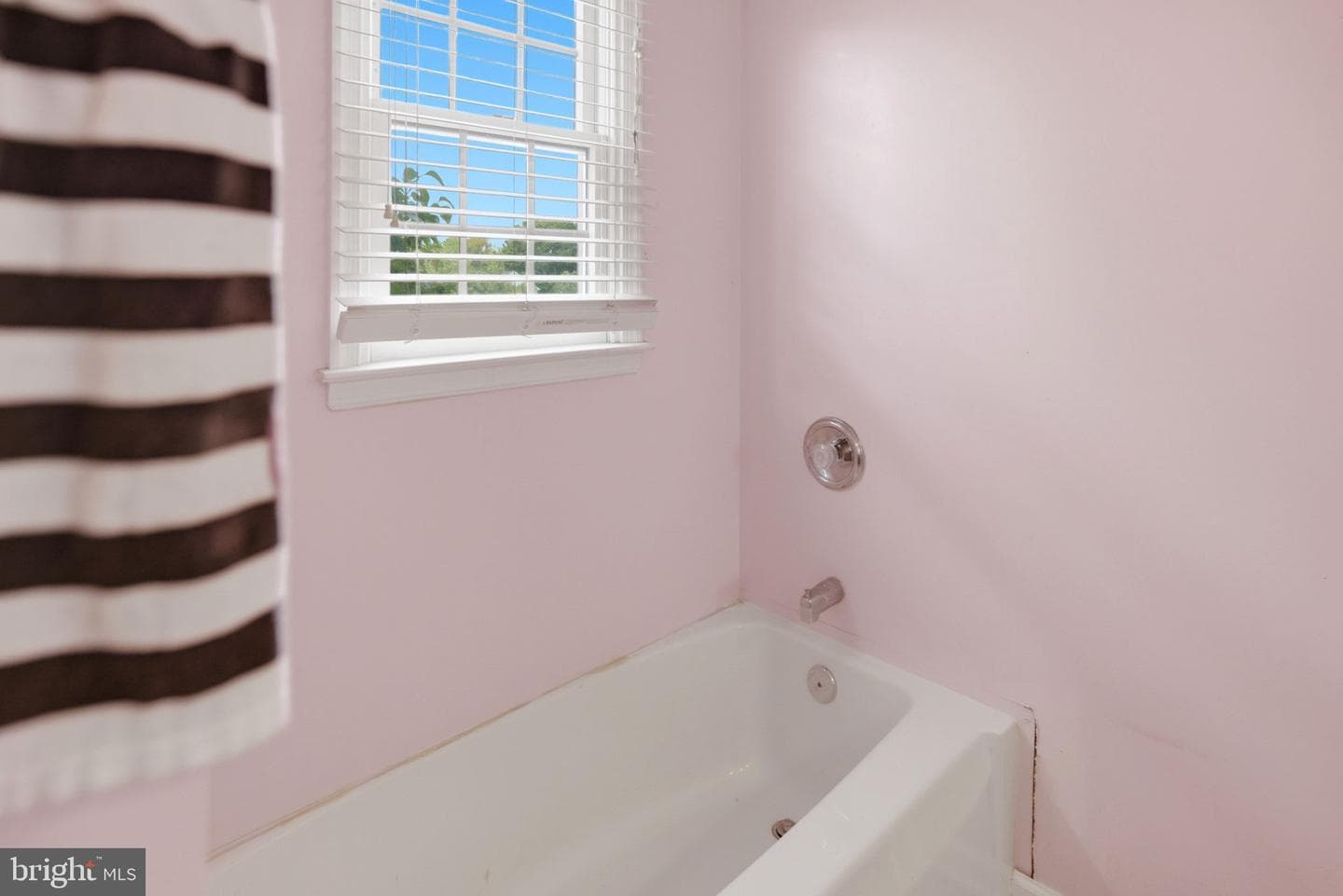 473 Nathaniel Drive photo 39