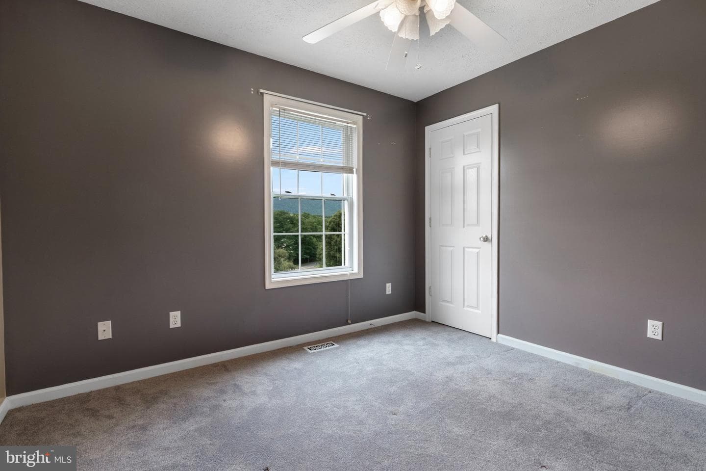 75 Barlow Court photo 11