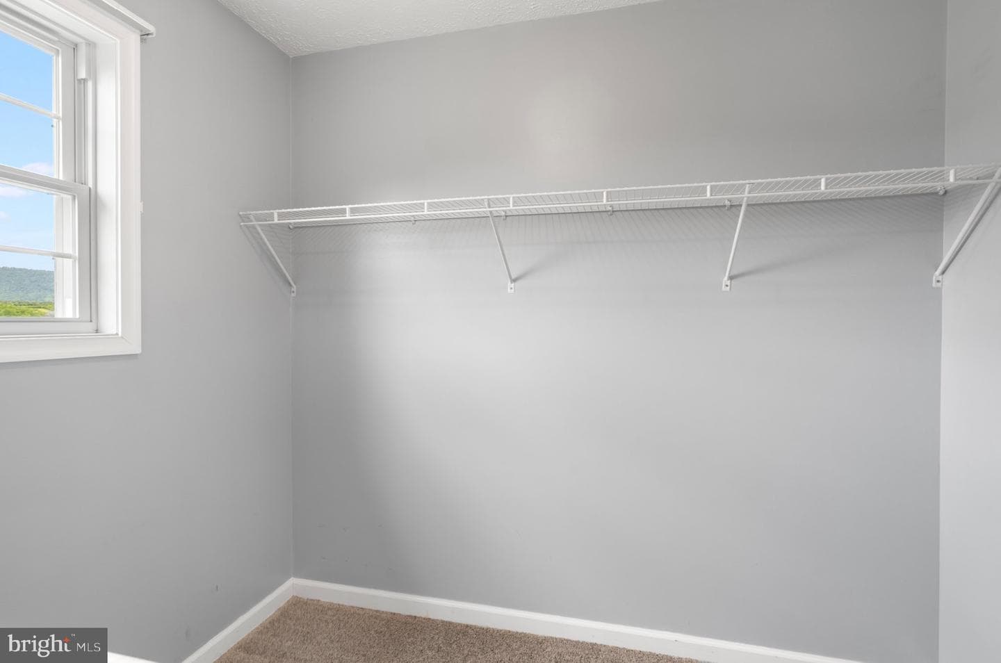 75 Barlow Court photo 18