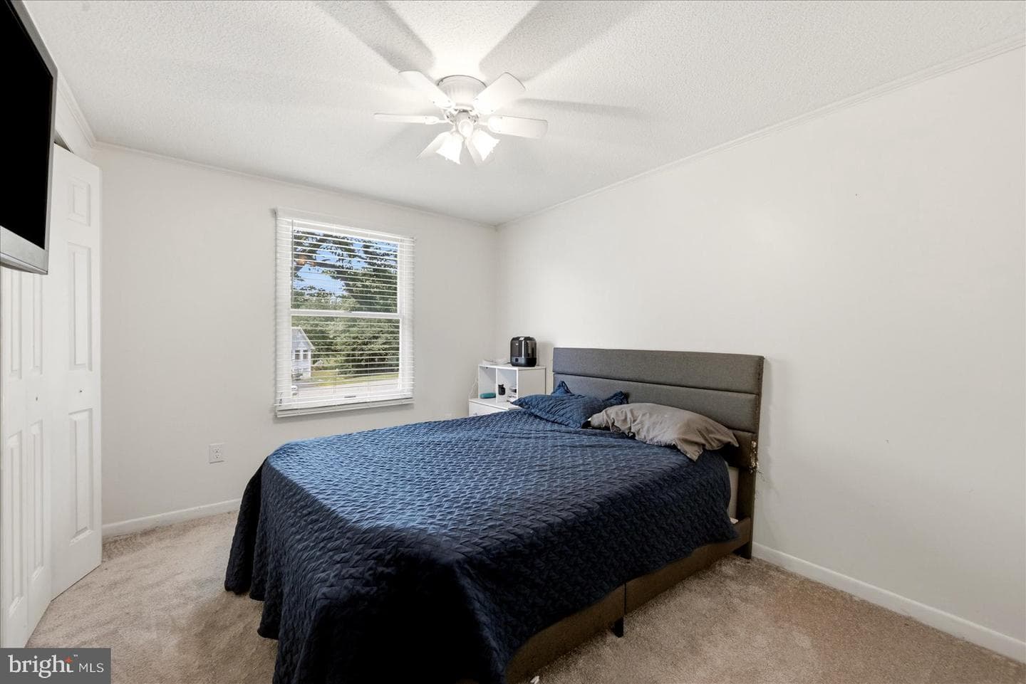 156 Morgan Street photo 18