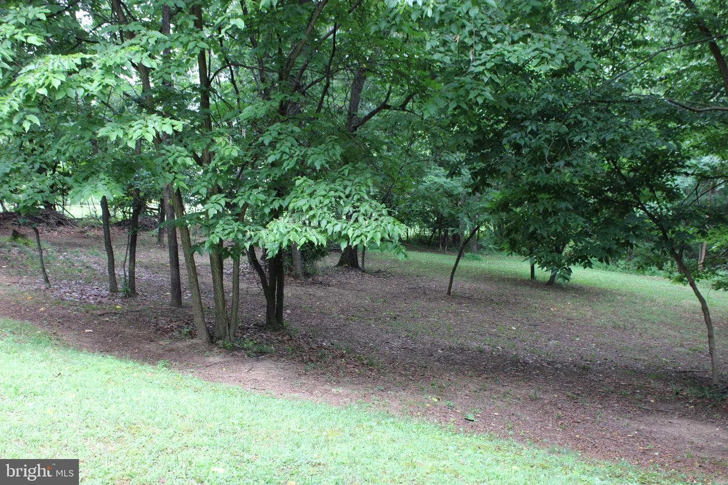 957 Butlers Chapel Road photo 104
