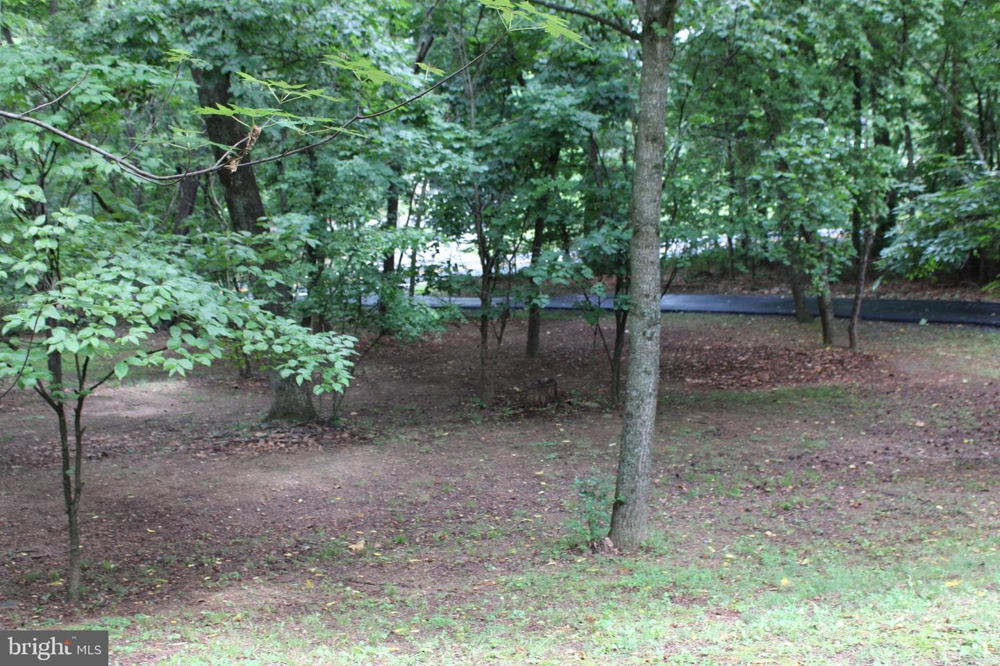 957 Butlers Chapel Road photo 105